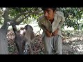 Man With His Donkey || OMG 2021