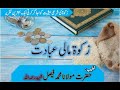Zakat Mali Ibadat || زکوۃ مالی عبادت || Maulana Faisal Shaheed || Pakistan Masjid