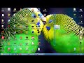 Videos Von Kinox To Donwloaden Illegal Jer