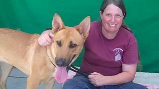 Cindy's Shelter Video