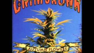 Watch Grimskunk Camptown Lady video
