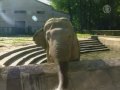 Почему умер слон в киевском зоопарке?