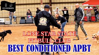 American Pitbull Terrier Adba Lone Star State Pitbull Club Best Conditioned Dog Show 2022