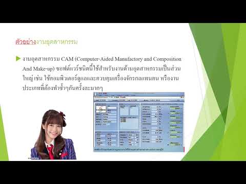 ซอฟต์แวร์เฉพาะงาน