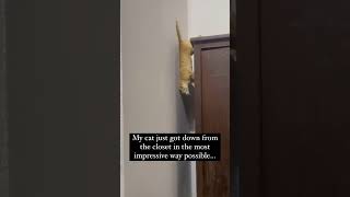 How Did Bro Even Find Out He Can Do That?