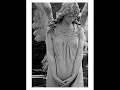 zeppet store-angel will come_menc