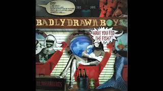 Watch Badly Drawn Boy 40 Days  40 Fights video