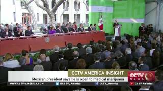 Sanho Tree On Medicinal Marijuana In The Americas
