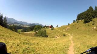 MTB Kaufbeuren - Durchs Senkele zur Alpe Beichelstein beim Hopfensee