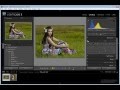 Видеоуроки по Lightroom. (Евгений Карташов) Видеоуроки по Lightroom. (Евгений Карташов)