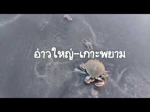เกาะพยาม จ.ระนอง (Koh Phayam) #สถานีออกเที่ยว #อ่าวใหญ่ #เกาะพยาม #KohPhayam #SathaneeOktiew