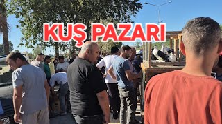 Adana Kuş Ve Tavuk Pazari 21 Ekim 2025