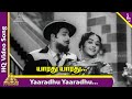 Yaaradhu Yaaradhu Video Song | En Kadamai Movie Songs | MGR | Saroja Devi | Viswanathan–Ramamoorthy
