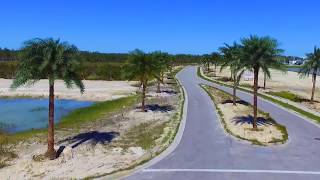 Alico ITEC Park plants more than 130 Sylvester Palms