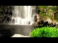 All time best rope swing fail compilation! klip izle