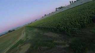 P That Bottle - Cruisin Hjelte