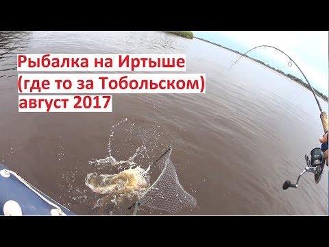Уровень воды в Иртыше сегодня, Усть - Ишим Уровень воды в Иртыше сегодня, Усть - Ишим