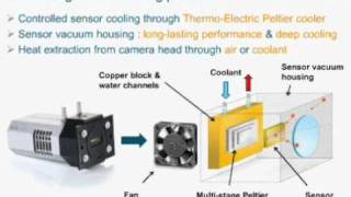 A Thermo-Electric Cooling Approach To Swir Spectroscopy With Ingaas Array Detectors