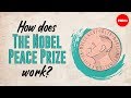 How does the Nobel Peace Prize work? - Adeline Cuvelier and Toril Rokseth