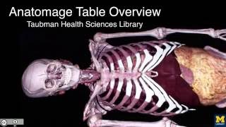 THL Anatomage Table Overview THL Anatomage Table Overview