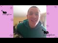 ▷ FUNNY CATS videos 😻😂 Hold Your Laugh If You Can