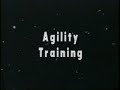 agility
