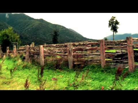 David Kilgour & The Heavy Eights - A Break In The Weather