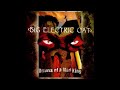 Big Electric Cat - Red Roses