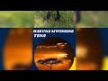 HAKUNA MWINGINE TENA - official audio