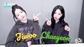 Engesp Triples Signal Live 250109 Jiwoo, Chaeyeon 트리플에스 Mintz