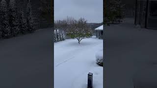First Snow In November / Первый Снег В Ноябре