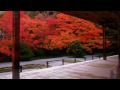 京都観光 南禅寺塔頭 天授庵の紅葉(Autumn leaves of Tenjyuan Nanzenji temple in Kyoto,Japan) / 京都散歩道