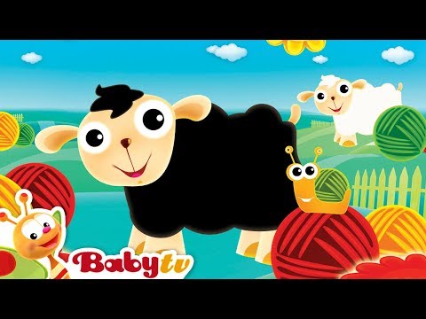 Nursery Rhymes   Baa Baa Black Sheep   By BabyTV   YouTube