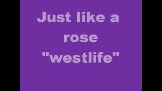 Watch Westlife Like A Rose video