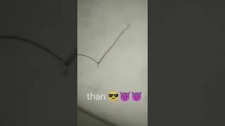 Gun