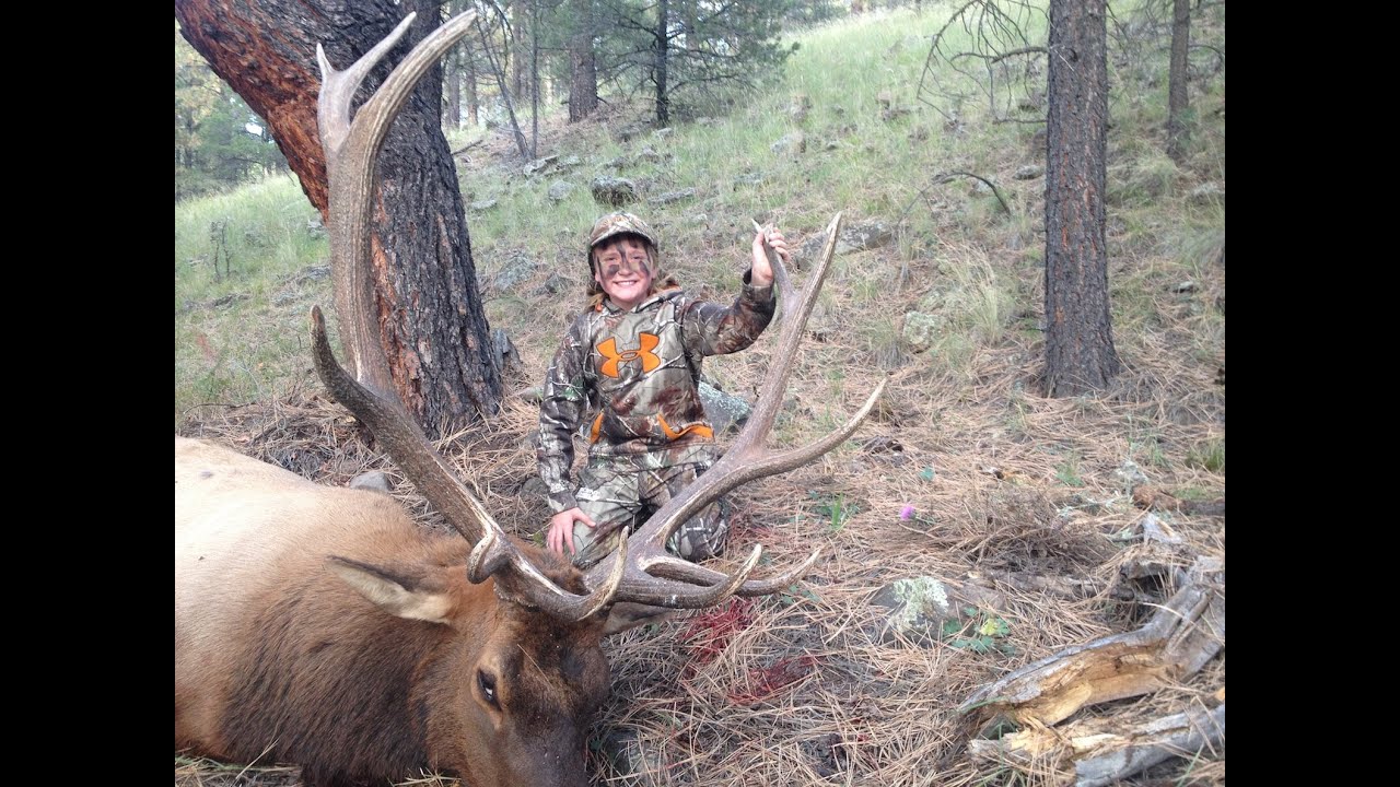 11 Year Old Girl Drops A Big Bull Elk With Her