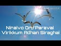 Ninaivo Oru Paravai நினைவோ ஒரு பறவை song Lyrics from Sigappu Rojakkal Movie