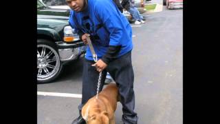 Watch Slim Thug Loving U Ft Zro video