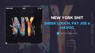 Watch Sheek Louch New York Shit feat Fat Joe  Havoc video