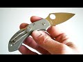 Spyderco Dragonfly