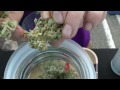 Seattle Cannabis Cup - Exoticgenetix