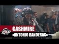 Cashmire