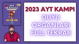 Duyu Organları  Tekrar AYT Biyoloji Kampı Konu Anlatımı/11.Sınıf 2024 Tayfa