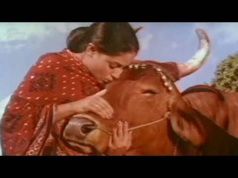 Jaya Bachchan Gaai Aur Gori - Scene 120