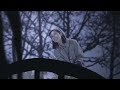 Noah Tak Lagi Sama Original Clip 1080p Hd images Noah Tak Lagi Sama Original Clip 1080p Hd
