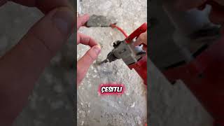 Sivrisineklerden İnti̇kam Almak