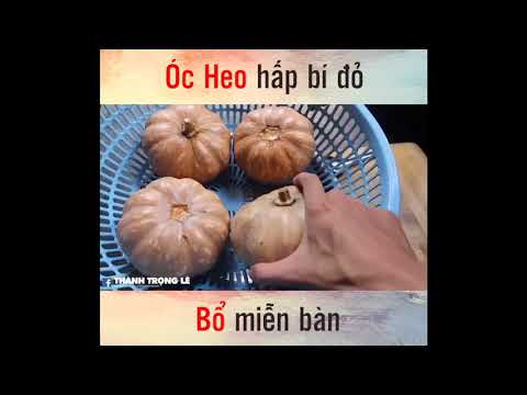 Cách Làm Óc Heo Hấp Bí Đỏ - Bổ Miễn Bàn