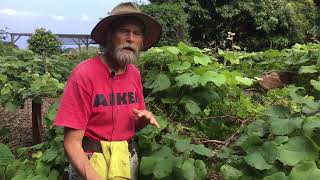 May 2022 - Training Your Subtropical Grapes