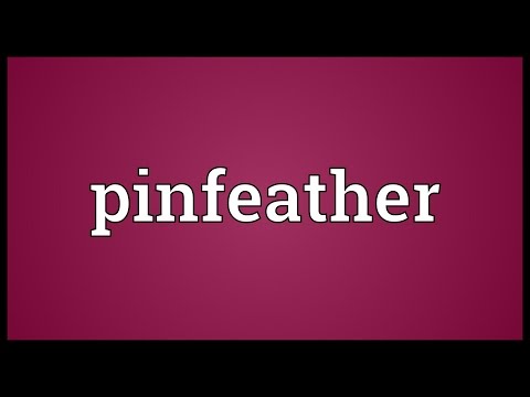 Header of pinfeather