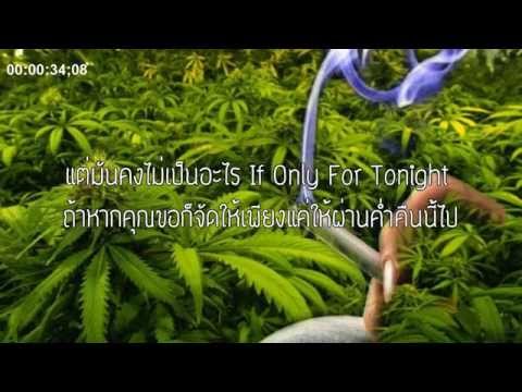 ILLSLICK - ก่อเกิดไร้ใจ Feat.THAIBLOOD +Lyrics thumb